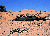 paysage d'afrique du sud