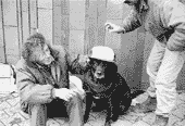 SDF