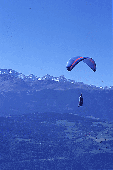 coupe icare