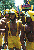 gay pride 2000